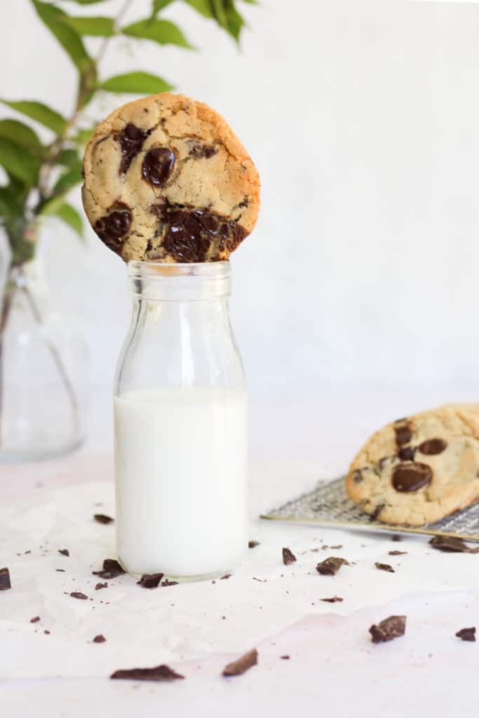 chocolate chip cookie stacked on a milk bottle
