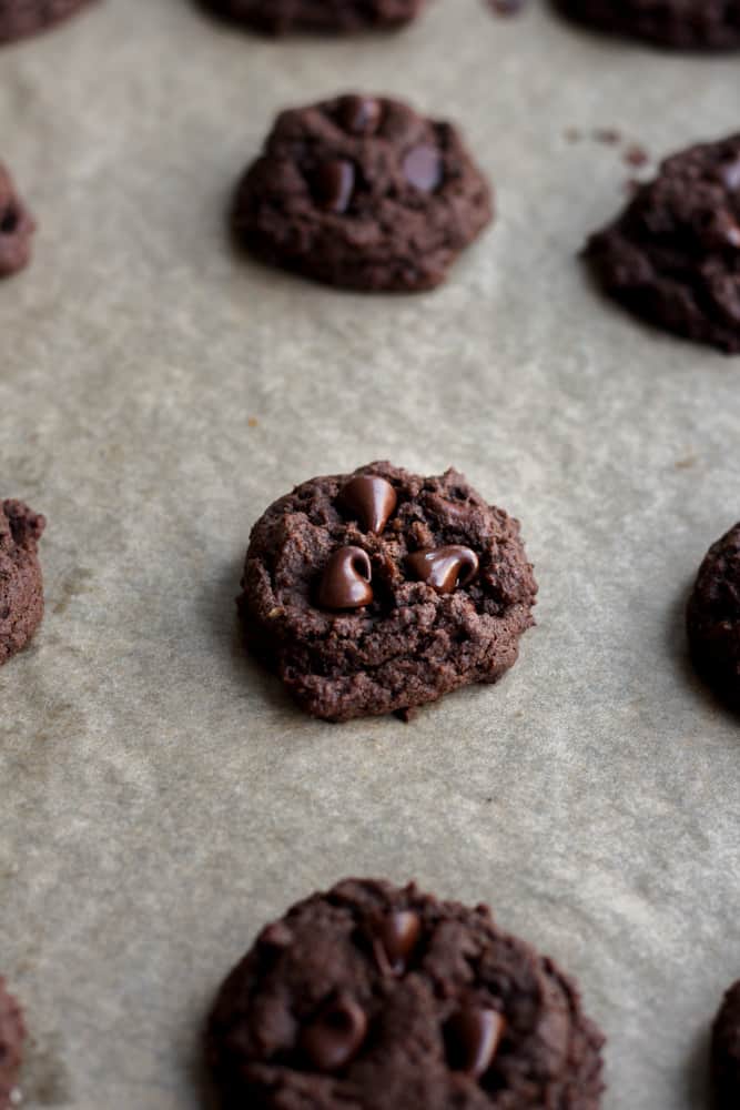 eggless chocolate cookies baked on cookie sheet.