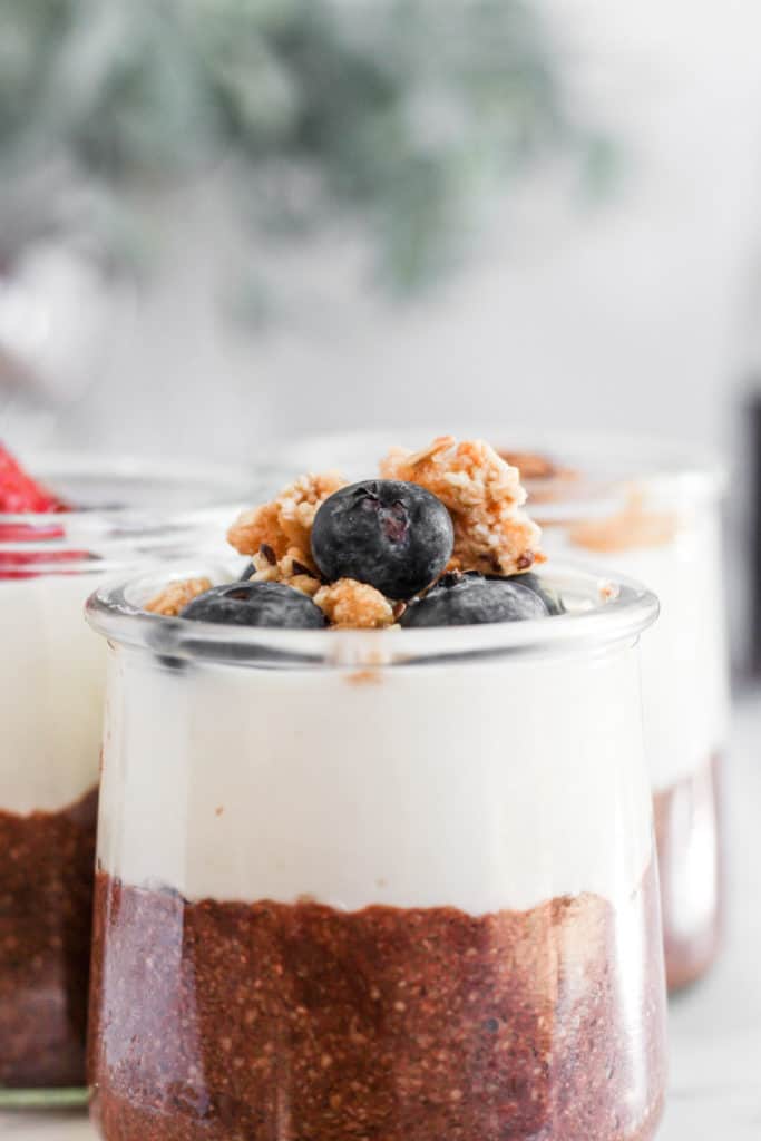 blueberries and granola on yogurt topped  healthy chocolate pudding.