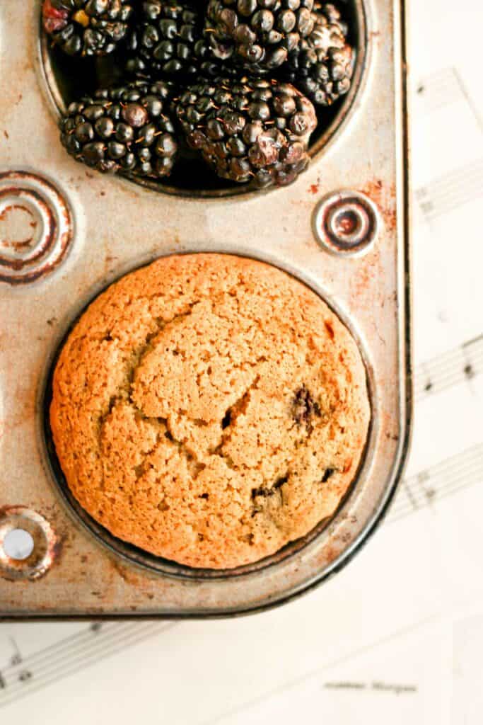 gluten free blackberry muffin in muffin tin with blackberries.