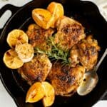 pan seared chicken thighs in a cast iron pan with roasted garlic and lemons.