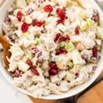 chicken salad with cranberries in a white bowl.