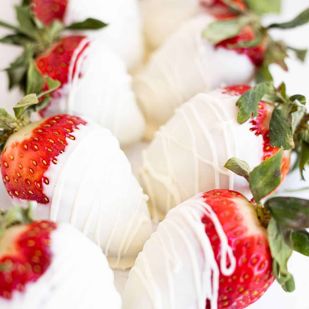 white chocolate covered strawberries in a line.