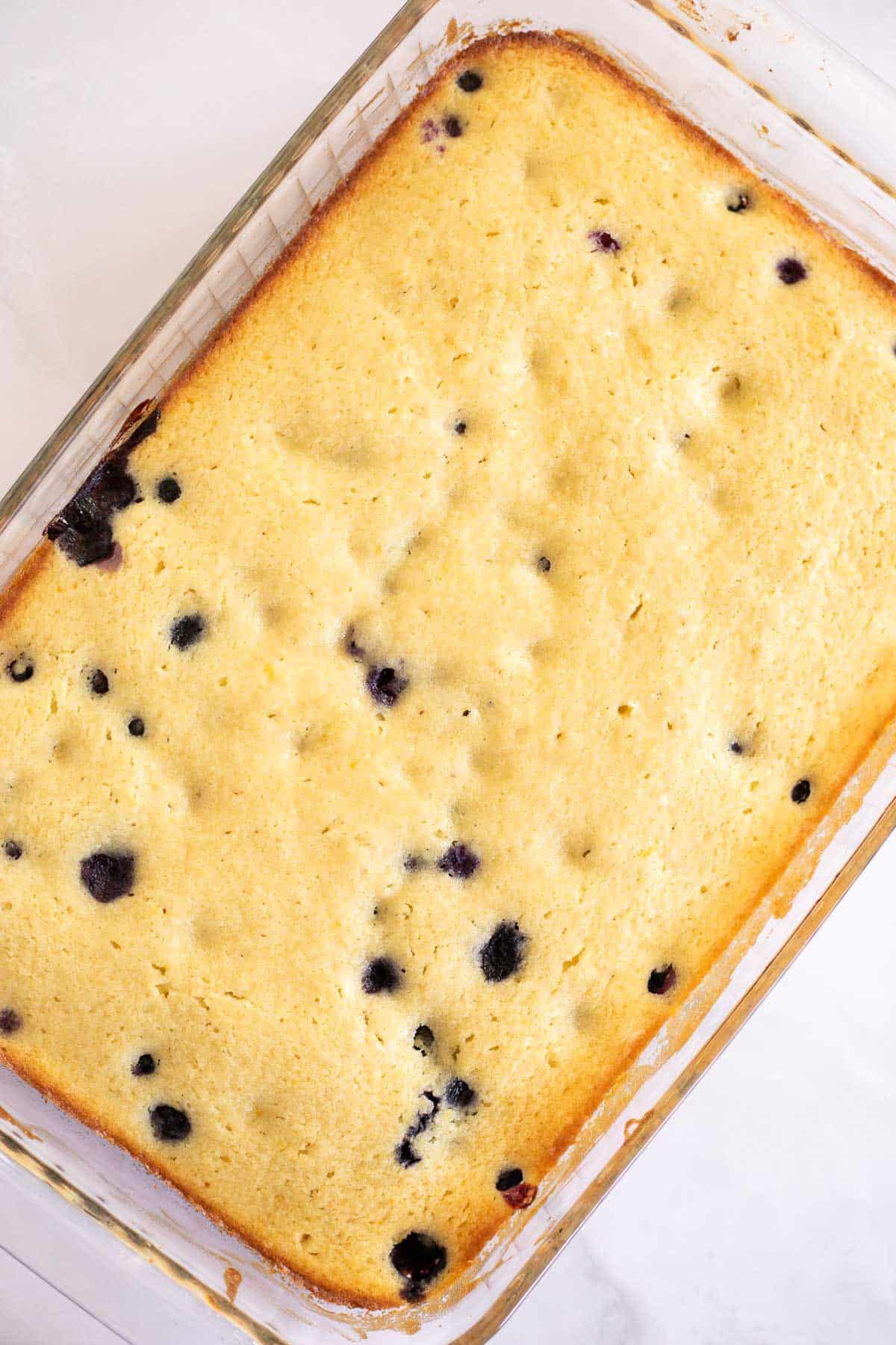 baked lemon blueberry sheet cake without frosting in a glass baking dish.