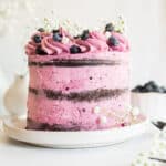 chocolate blueberry layer cake on a white plate.