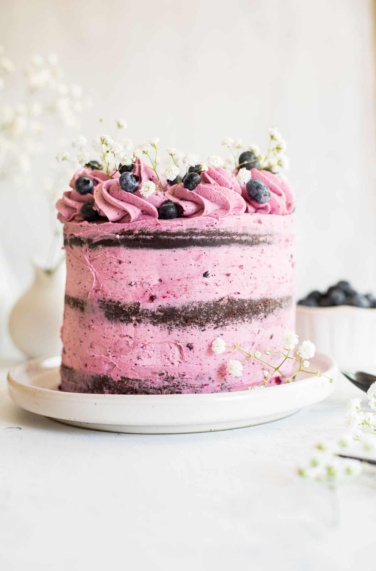 chocolate blueberry layer cake on a white plate.