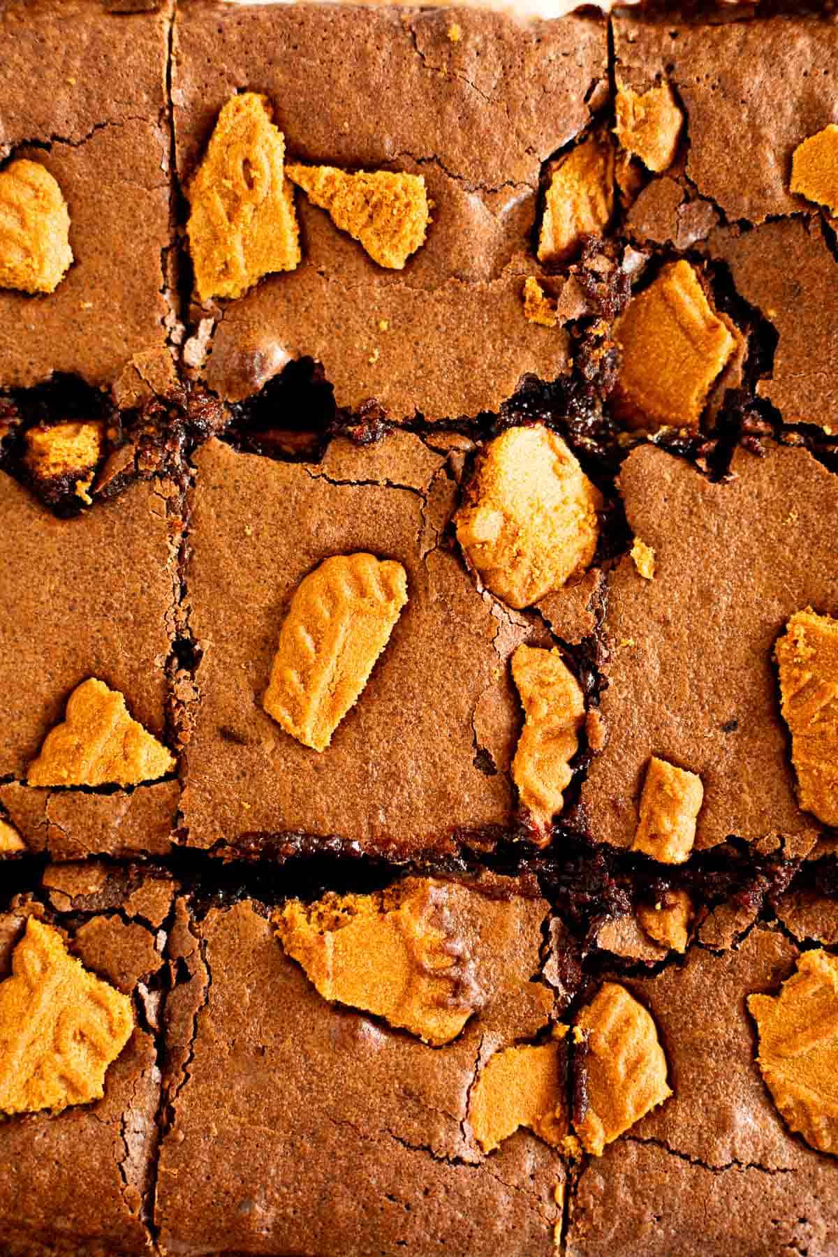 macro shot of biscoff brownies cut into squares.