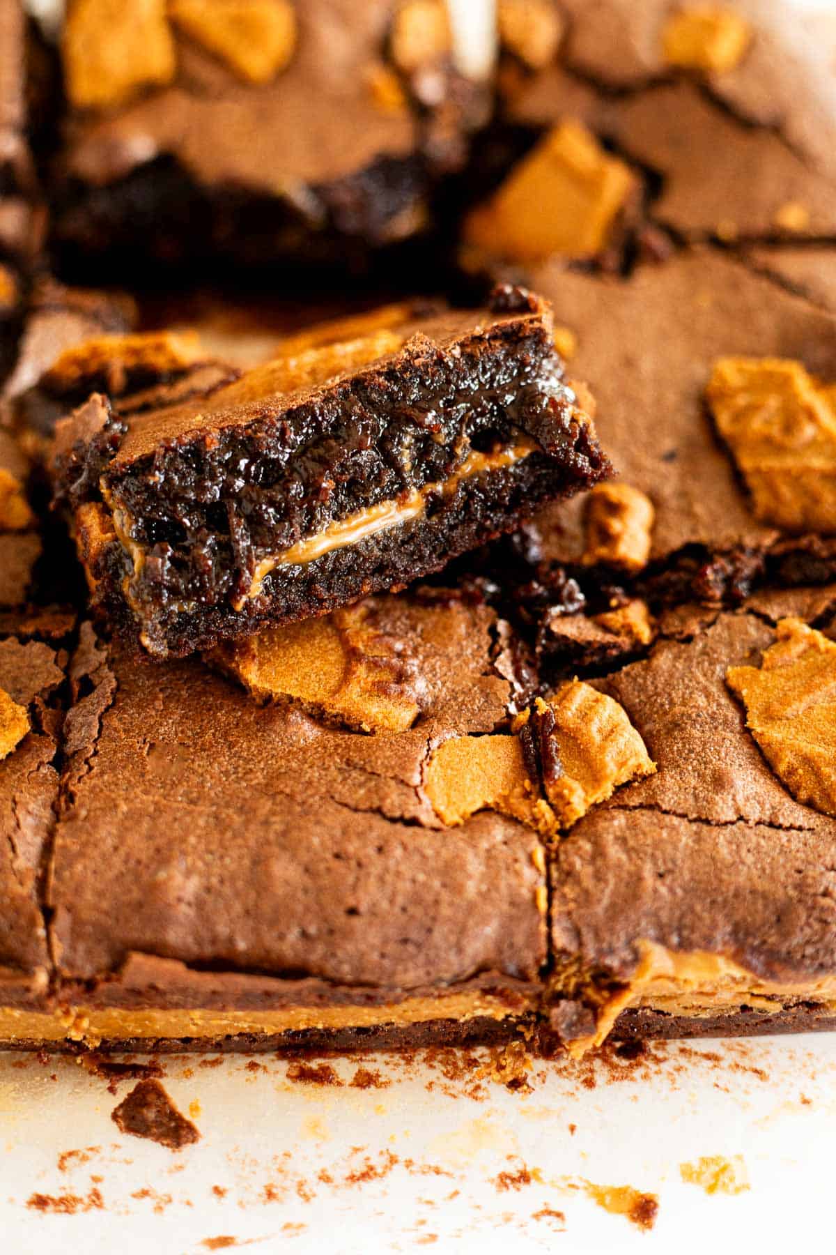 fudgy brownies with a layer of cookie butter.