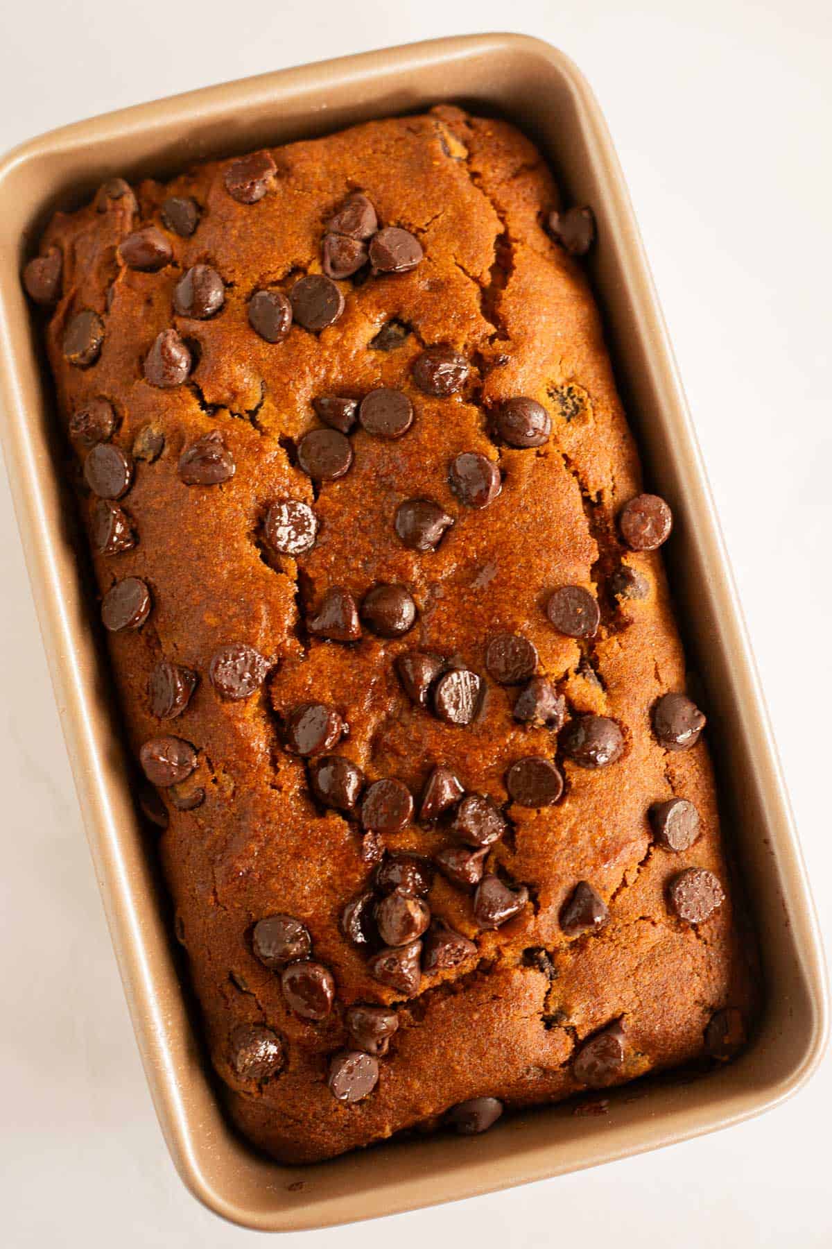 Gluten Free Pumpkin Chocolate Chip Bread baked in a loaf pan.